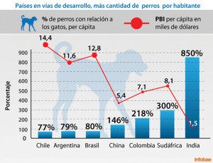 Grafico Big Cat