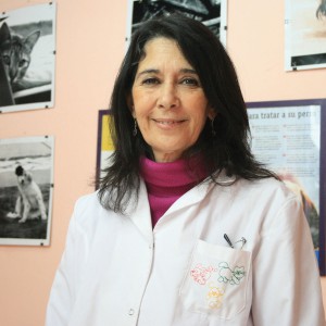 Patricia D´ Urso partició del concurso “DOSmasDOS, Tus Ideas Valen”, a partir del cual presentó la experiencia vivida con un grupo de paseadores de perros a los cuales la profesional capacitó en temas centrales. Patricia D´ Urso partició del concurso “DOSmasDOS, Tus Ideas Valen”, a partir del cual presentó la experiencia vivida con un grupo de paseadores de perros a los cuales la profesional capacitó en temas centrales.