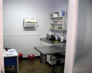 Veterinaria Cima 2