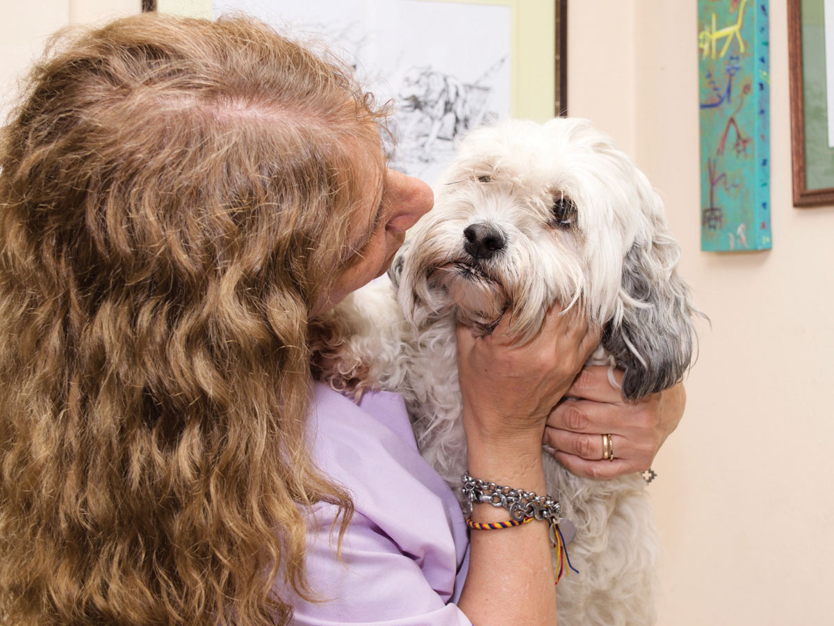 “La culminación de la experiencia de asistir a la veterinaria de forma agradable facilitará una nueva visita”.