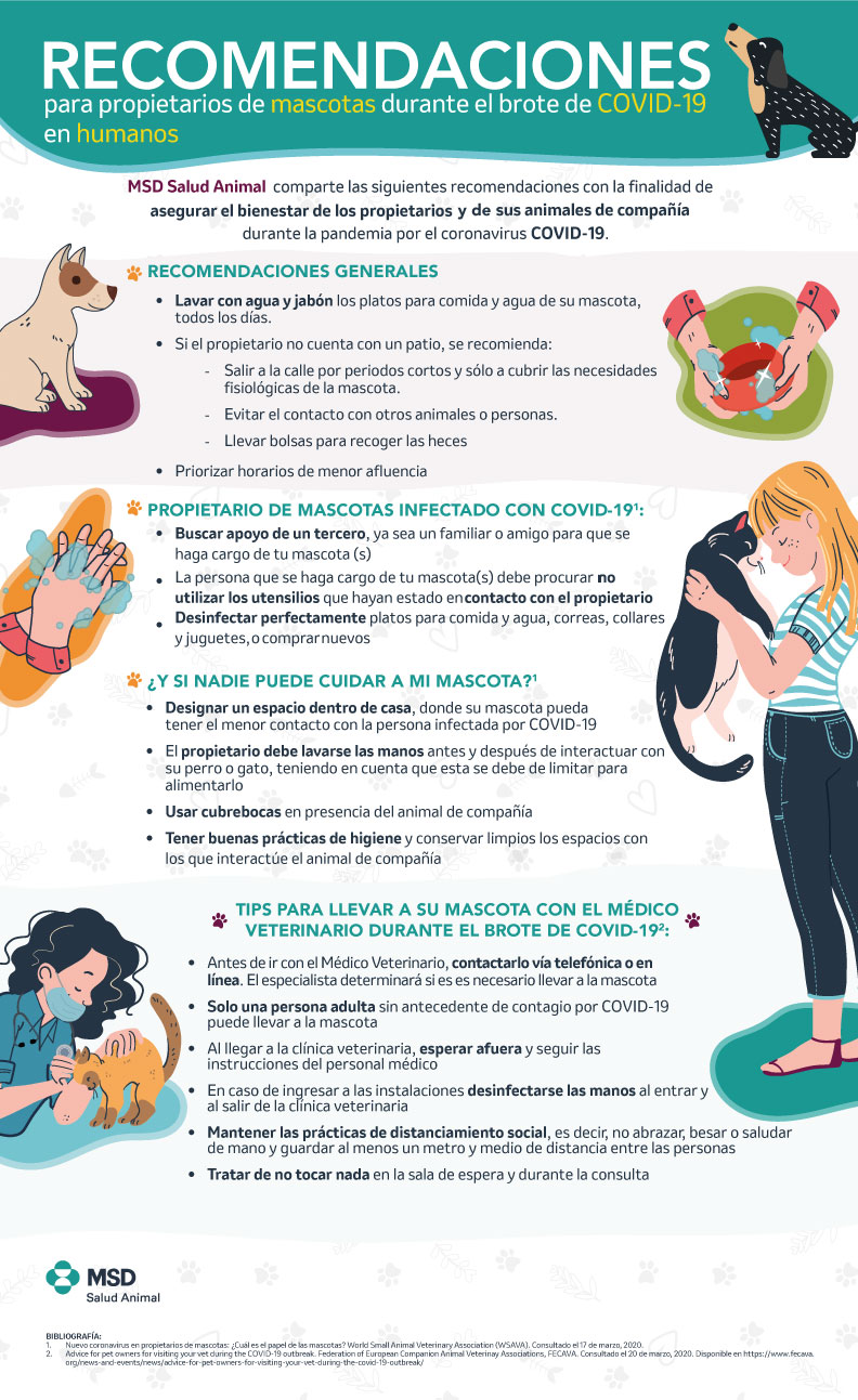 Consejos para mascotas