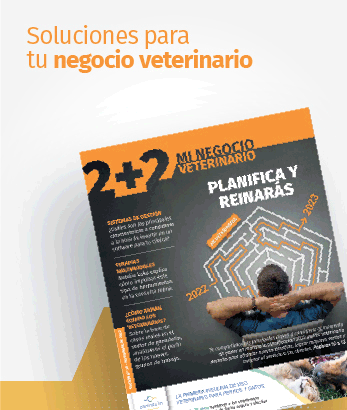 2+2 – Descargá – Lat Interno