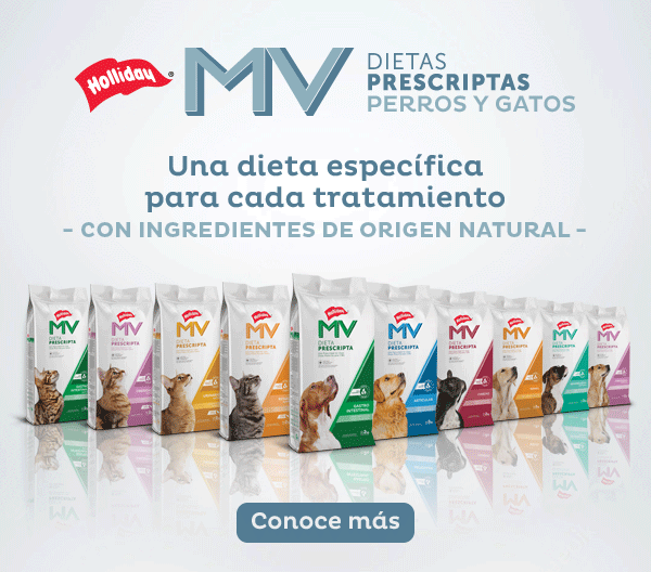 Holliday – 360Vet – MV – Noviembre 22 – Lateral