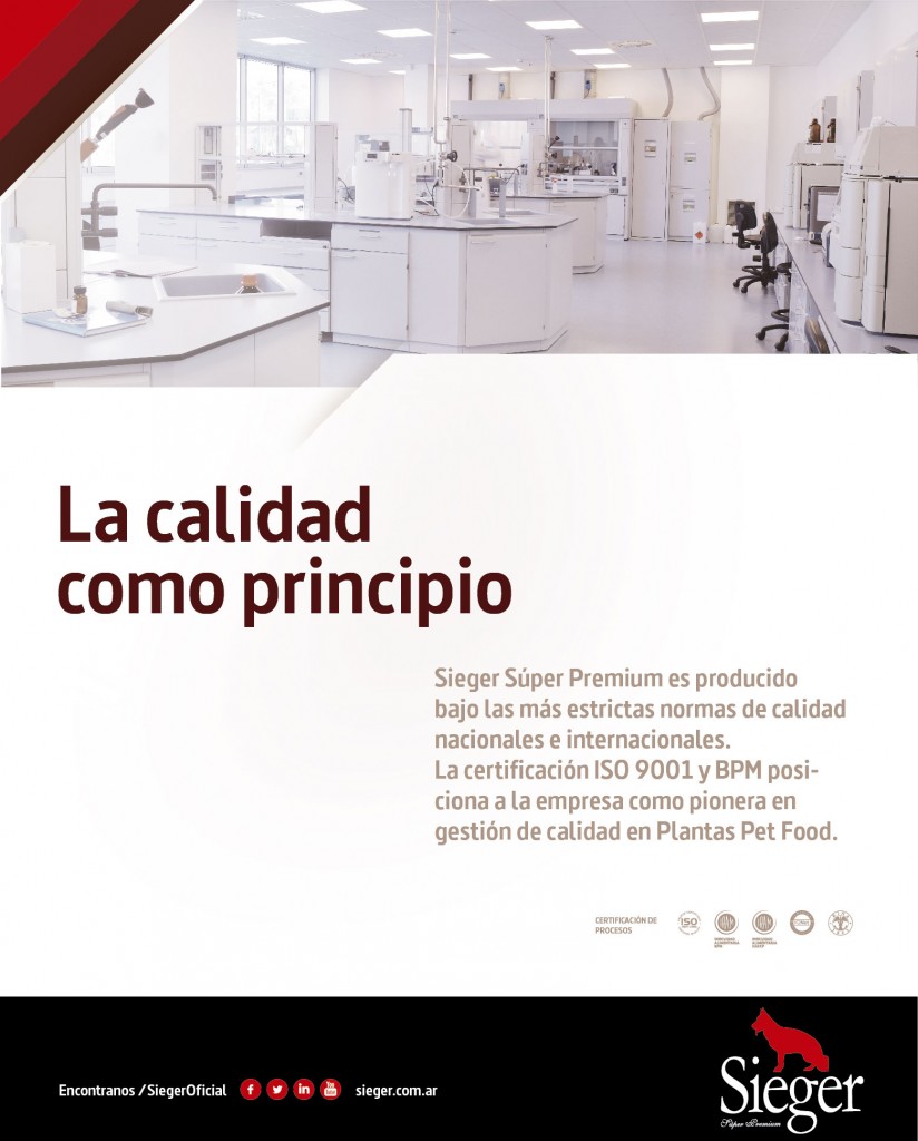 Piezas Para Envio