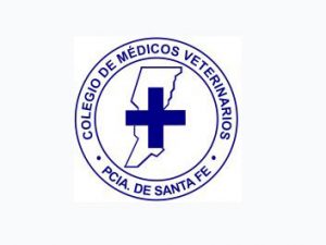 Logo Colegio De Santa Fe 1