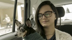 Easy Mascota01