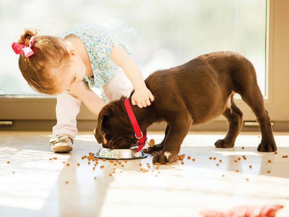 En 2017 se invirtieron US$ 110 mil millones en el cuidado de las mascotas