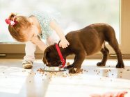 En 2017 se invirtieron US$ 110 mil millones en el cuidado de las mascotas