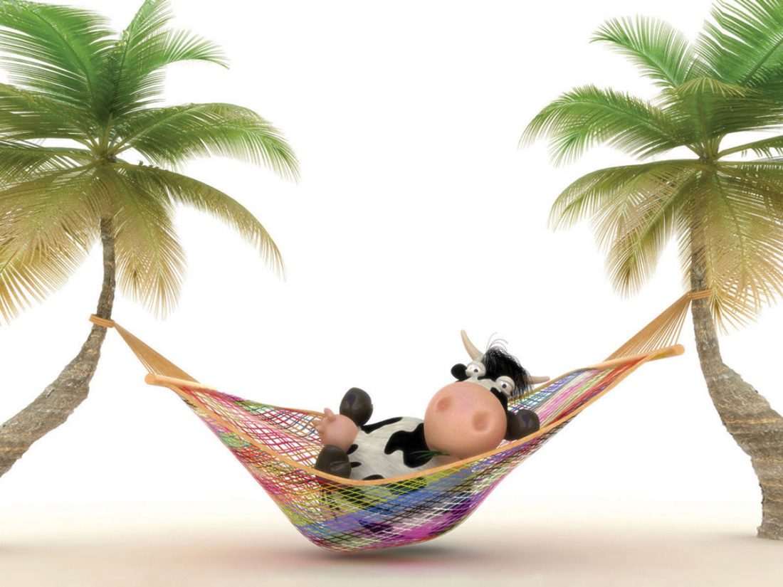 Cuatro de cada diez vacas están de vacaciones