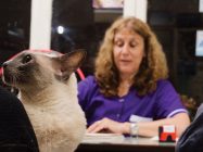 “Se deben conocer las particularidades conductales de los animales para atender sus necesidades”, Silvia Vai.“Se deben conocer las particularidades conductales de los animales para atender sus necesidades”, Silvia Vai.