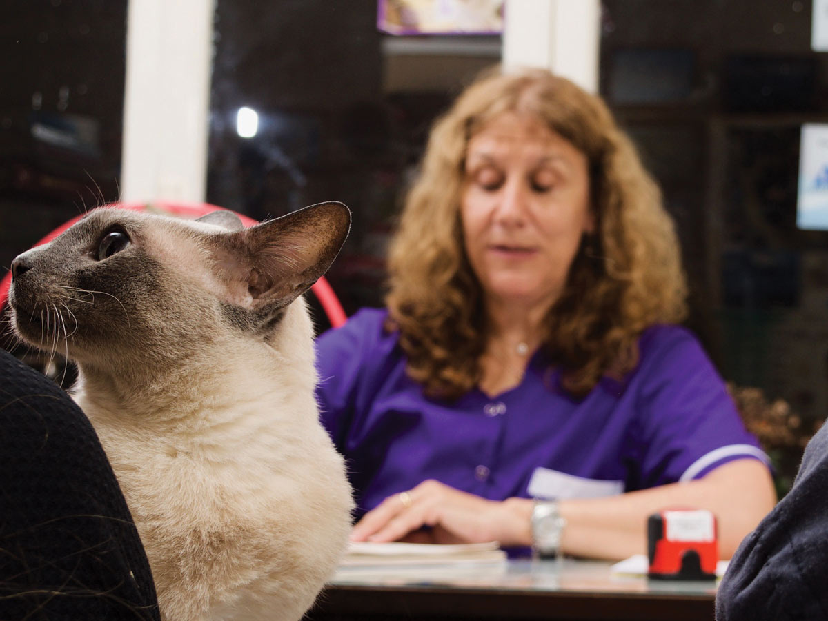 “Se deben conocer las particularidades conductales de los animales para atender sus necesidades”, Silvia Vai.“Se deben conocer las particularidades conductales de los animales para atender sus necesidades”, Silvia Vai.