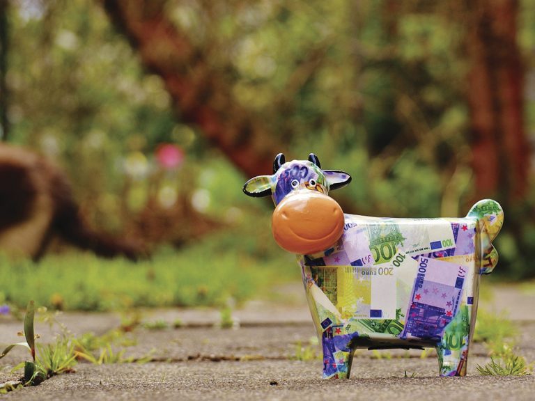 Cow Save Money Piggy Bank Funny Ceramic Bank Note Jpgd