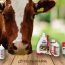 Nota Antiparasitarios Tecnofarm