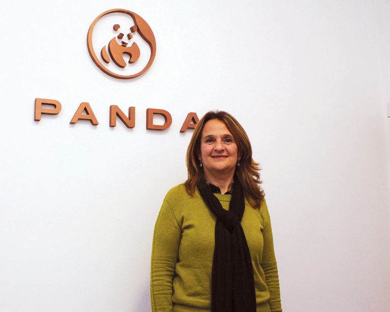 Panda 1
