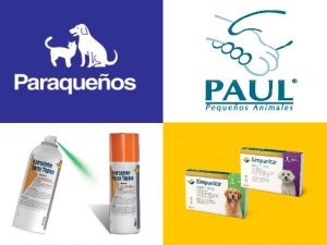 Breves