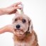 Spot Max Aplicación