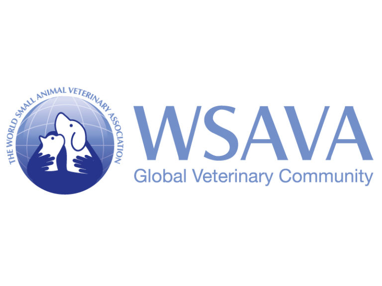 Wsava