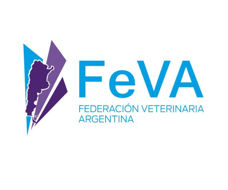 Logo Feva Cuadrado