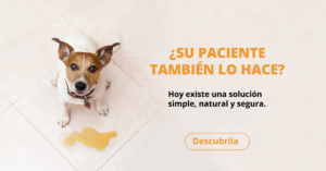 Nota Patrocinada Nota Patrocinada