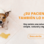 Nota Patrocinada Nota Patrocinada
