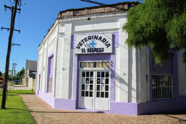 Veterinaria