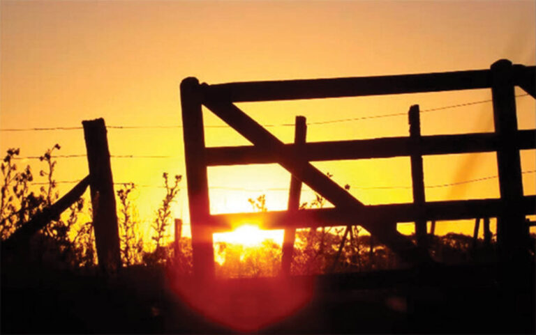 Campo Amanecer