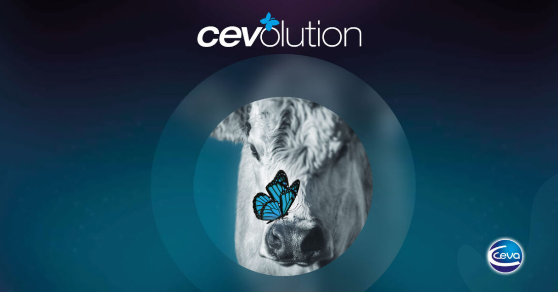Banner Nota Cevolution Correccion