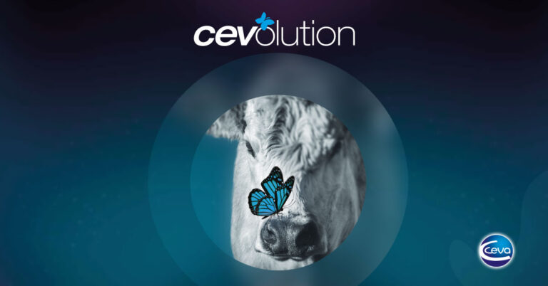 Banner Nota Cevolution Correccion