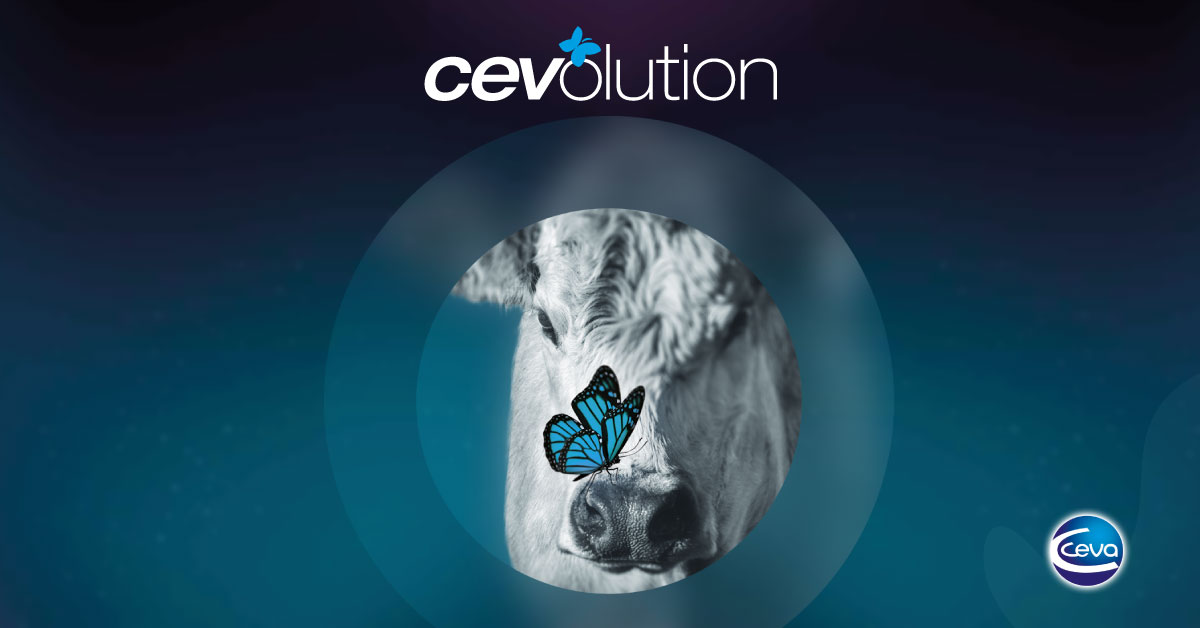 Banner Nota Cevolution Correccion