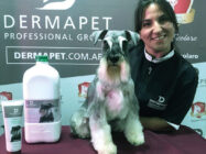 Dermapet Scolaro