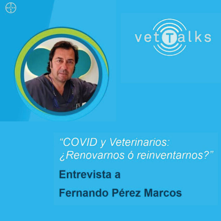 Vet Talks Fernando Perez Marcos Cuadrada