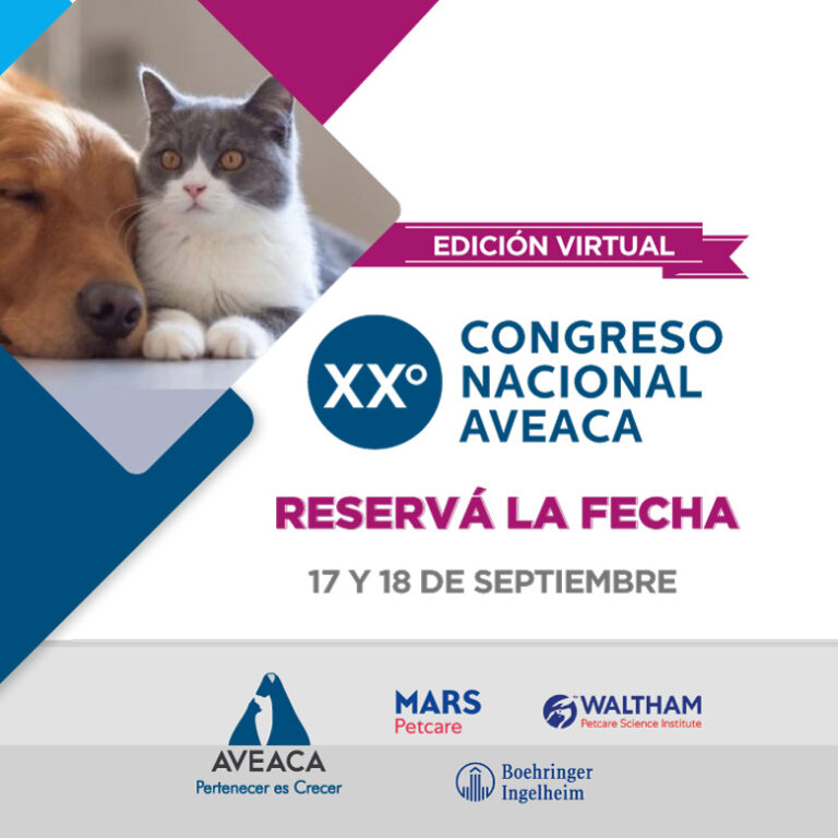 Xxcongreso2 Copiaweb