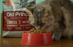 Old Prince Lanza Al Mercado Su Línea “Proteínas Noveles” Para Gatos