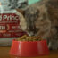 Old Prince Lanza Al Mercado Su Línea “Proteínas Noveles” Para Gatos