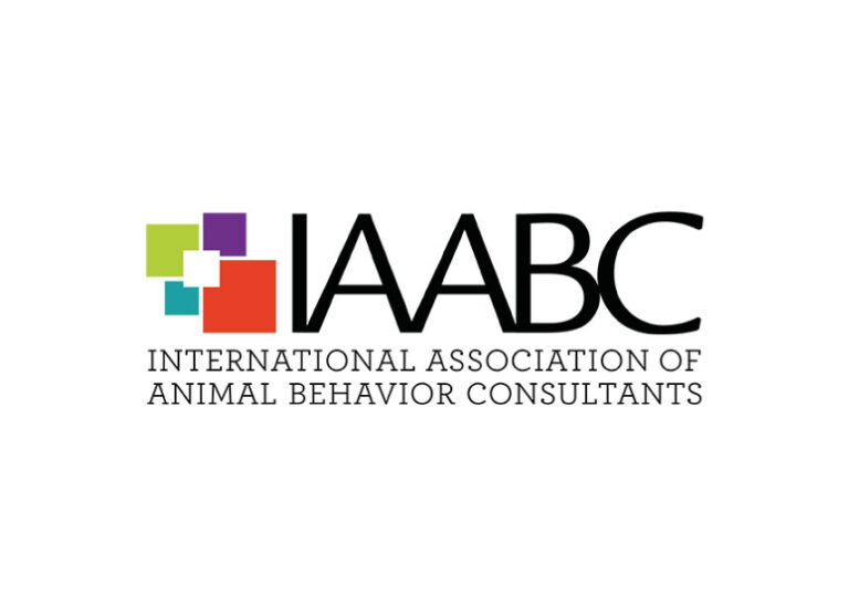 Iaabc Redes
