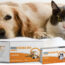 Ehrlichiosis Canina: Claves Para La Clínica Diaria