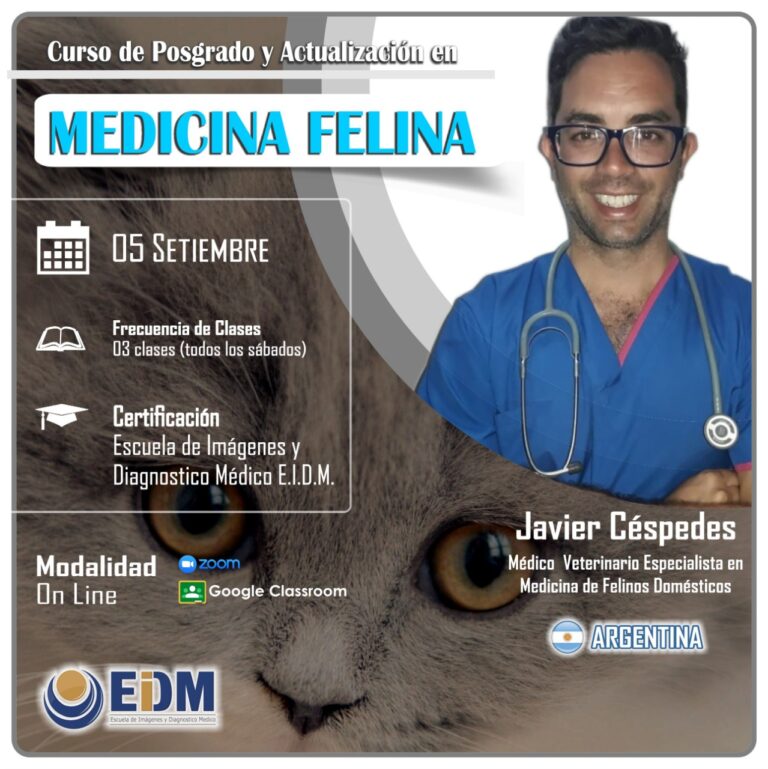 Curso de posgrado y actualización en Medicina Felina