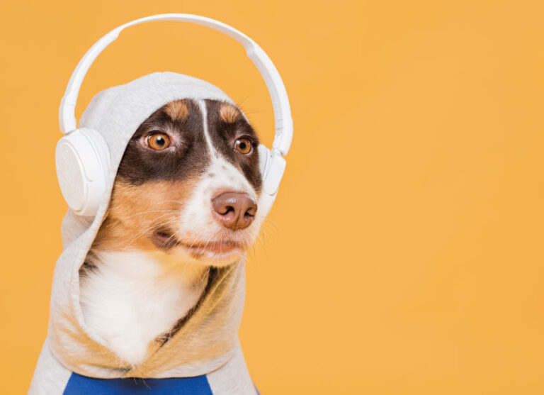 Perro Con Auriculares Dest