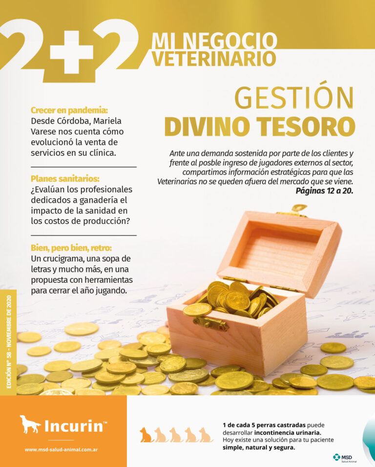 Edición N° 58 – Noviembre De 2020