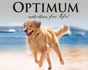 Optimun Des