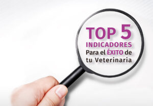 Villaluenga Top5