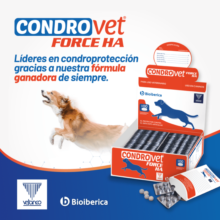 Condrovet Lanzamiento Post