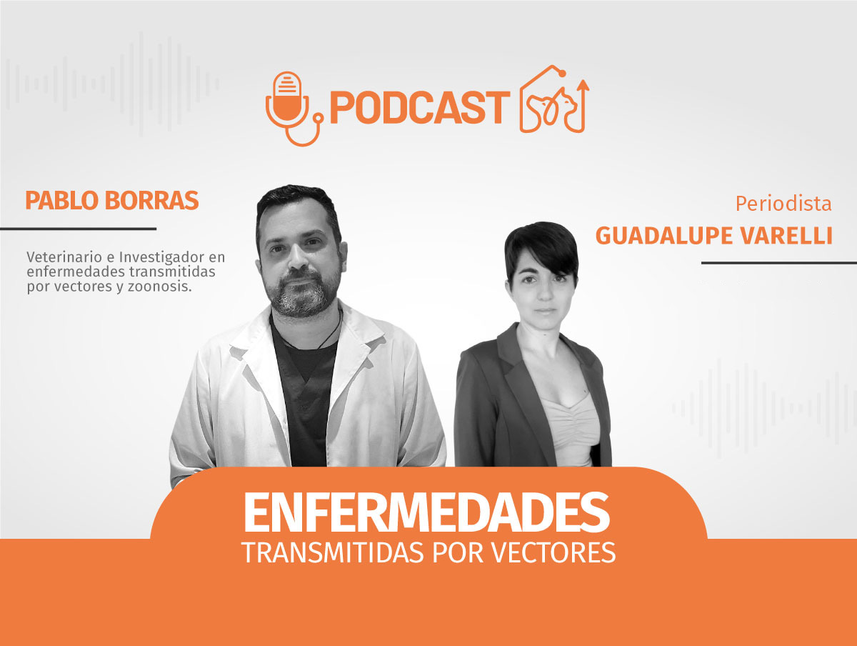 Una Sola Salud: enfermedades transmitidas por vectores