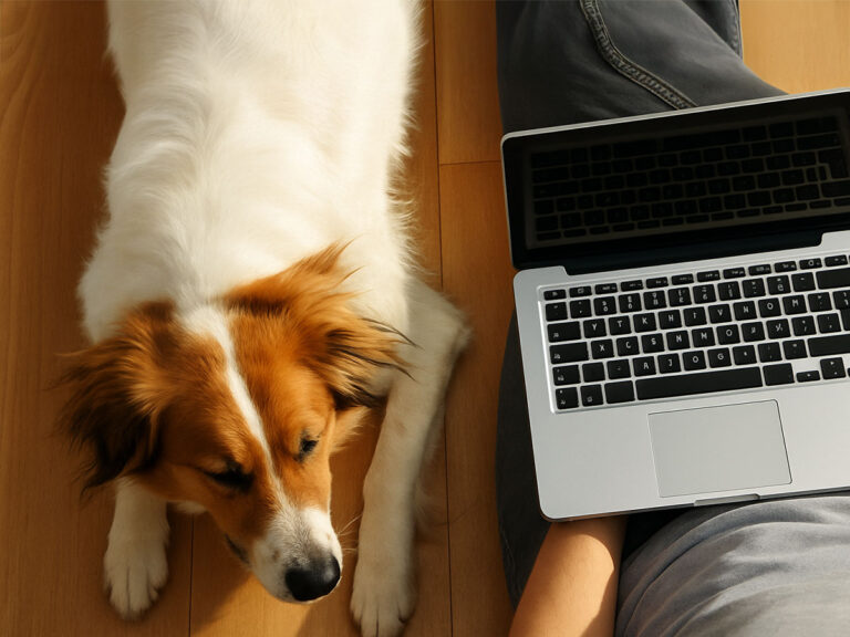 Perro Con Compu Bis