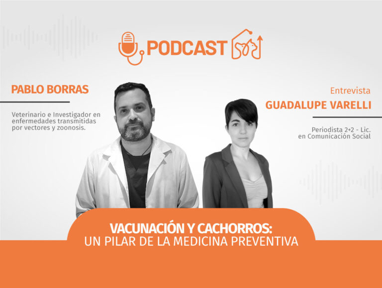 Vacunacion Y Cachorros