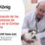Utilización De Las Feromonas De Gato En La Clínica Felina