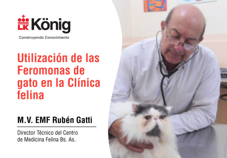 Utilización De Las Feromonas De Gato En La Clínica Felina