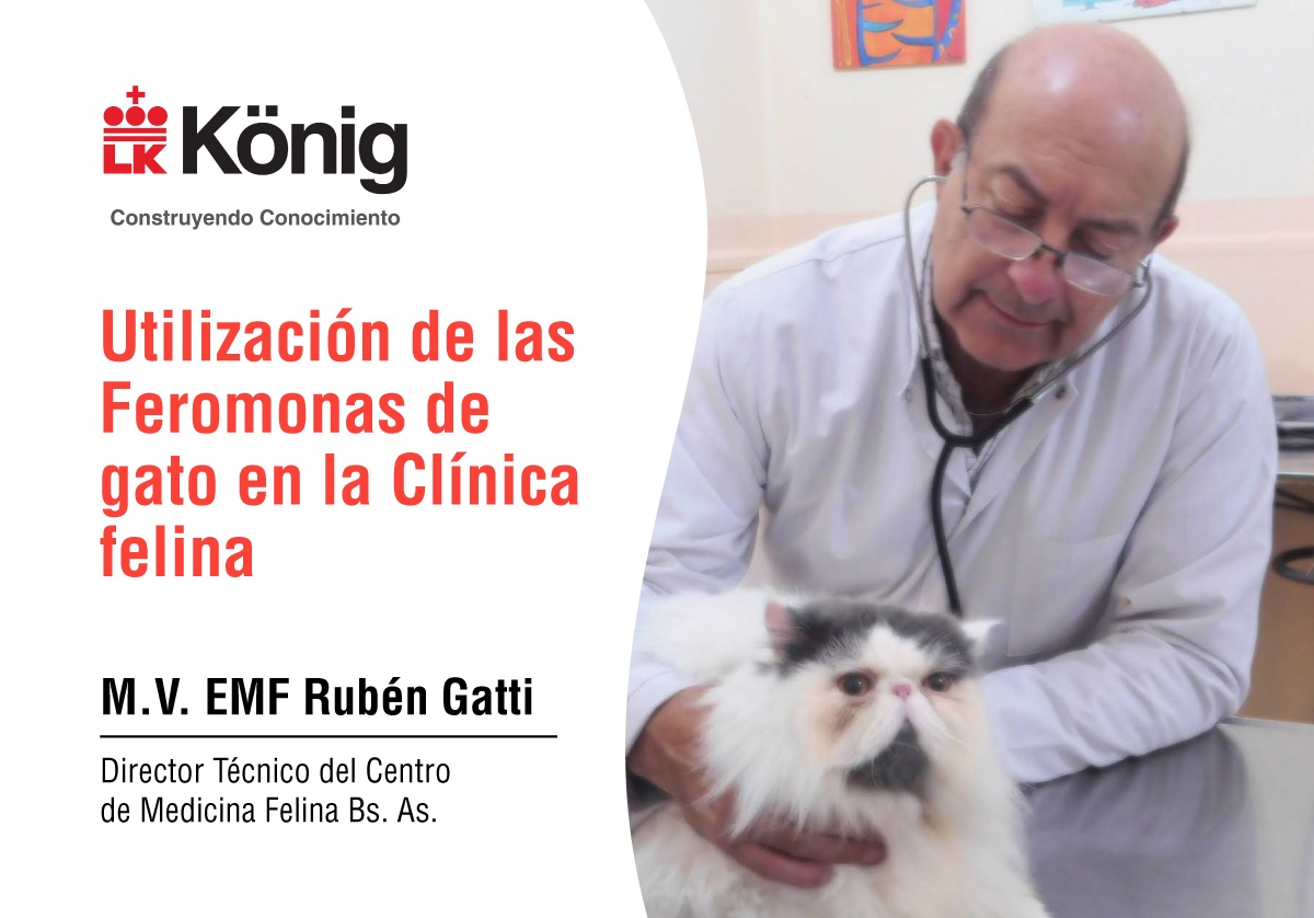 Utilización De Las Feromonas De Gato En La Clínica Felina