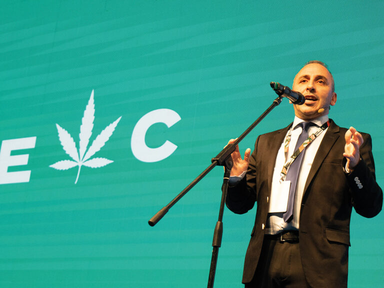 Cannabis Morante