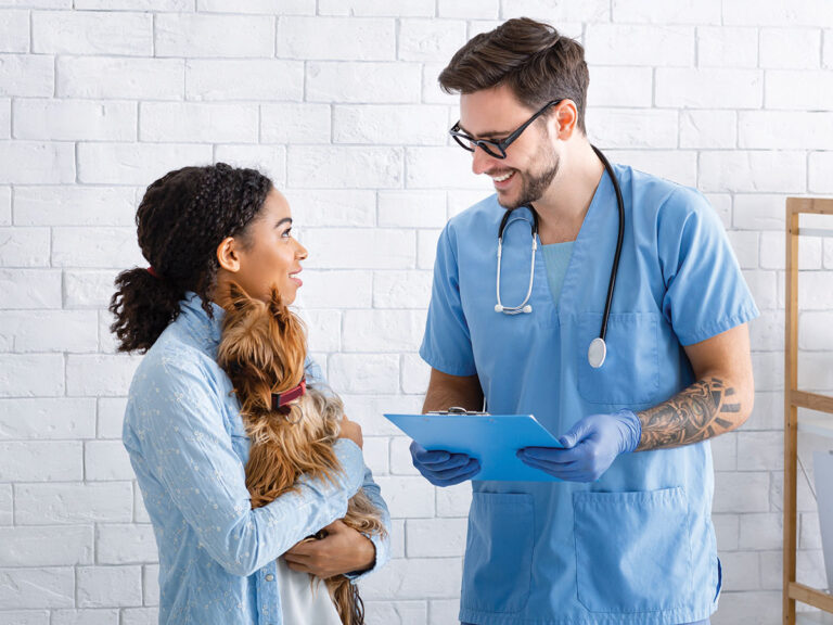 ¿Cómo Dar Precios De Un Servicio Veterinario?